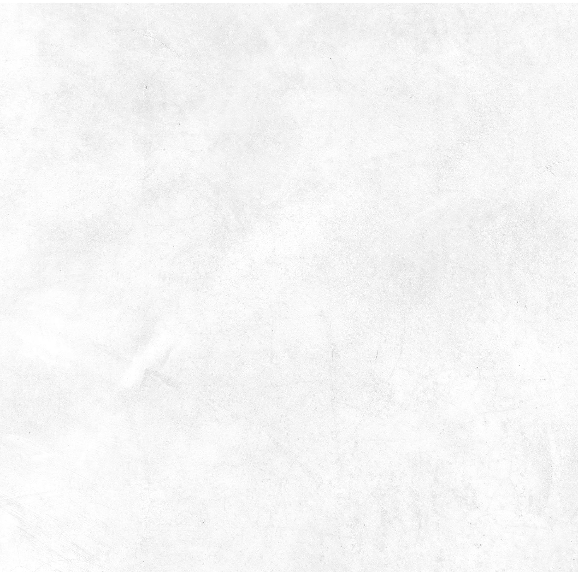 REGIONAL DIRECTORS BG